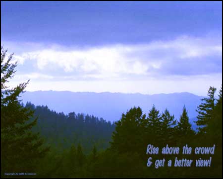Click to Enlarge
