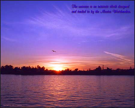 Click to Enlarge
