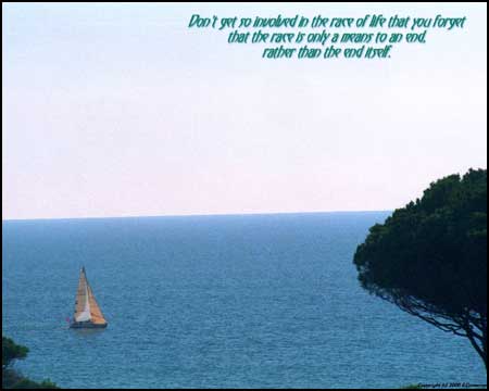 Click to Enlarge