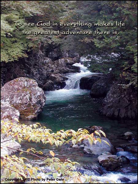Click to Enlarge