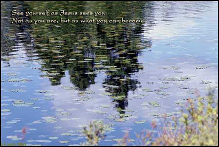 Click to Enlarge